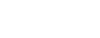 ASAFE Energia Solar
